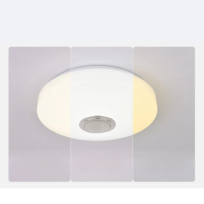 Ceiling Lamp With Speaker