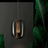 Savannah Glass Pendant Lights